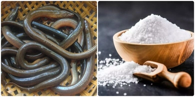 Lươn cá da trơn càng rửa với nước càng nhớt dùng ngay thứ này vài phút nhớt bong ra ngoài tha hồ chế biến - 4