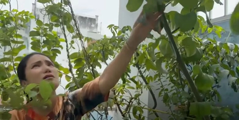 Mc cát tường tạm biệt ngôi nhà đã ở 8 năm thu hoạch lần cuối ở khu vườn xanh mướt trước khi dọn đi - 6