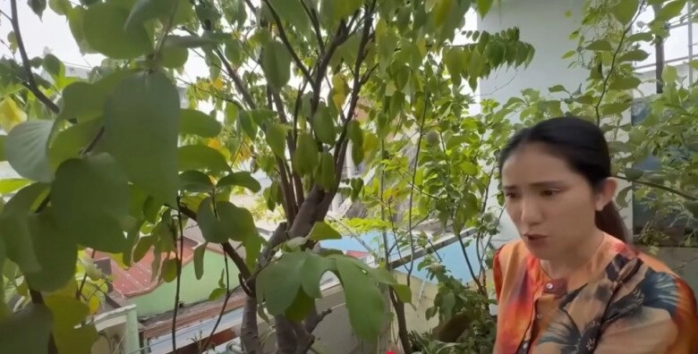 Mc cát tường tạm biệt ngôi nhà đã ở 8 năm thu hoạch lần cuối ở khu vườn xanh mướt trước khi dọn đi - 11