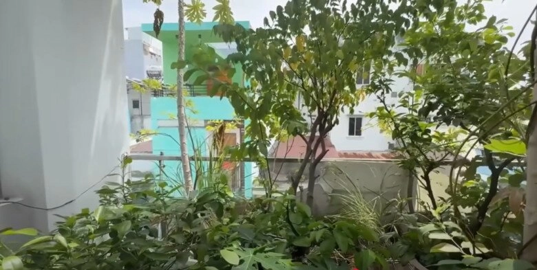 Mc cát tường tạm biệt ngôi nhà đã ở 8 năm thu hoạch lần cuối ở khu vườn xanh mướt trước khi dọn đi - 22
