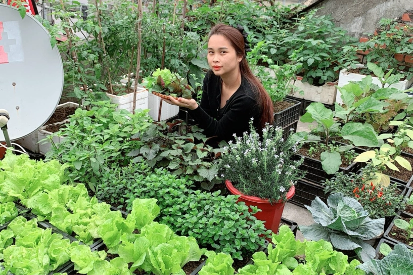 Mẹ 9x quảng ninh xây khu vườn trên sân thượng chỉ 15m2 nhưng rau quả gì cũng có - 1