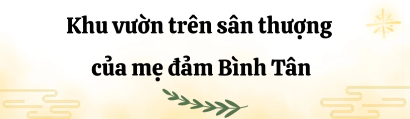 Mẹ đảm bình tân biến sân thượng thành vườn rau xanh mướt cờ đỏ bay phấp phới mừng đại lễ 304 - 1
