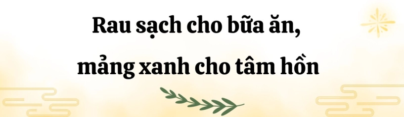 Mẹ đảm bình tân biến sân thượng thành vườn rau xanh mướt cờ đỏ bay phấp phới mừng đại lễ 304 - 9
