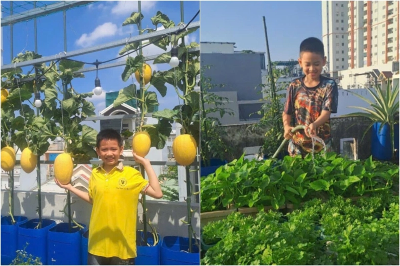 Mẹ đảm bình tân biến sân thượng thành vườn rau xanh mướt cờ đỏ bay phấp phới mừng đại lễ 304 - 14