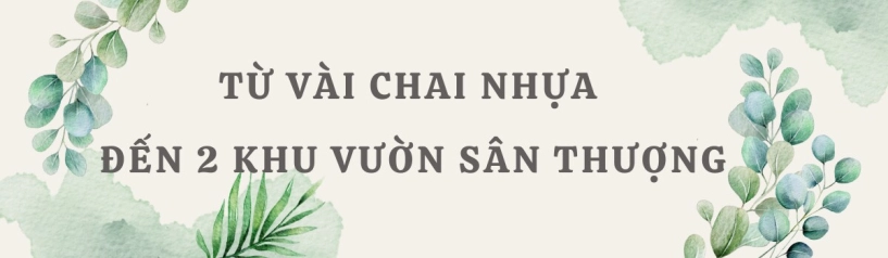 Mẹ đảm hà nội từng bị trêu chỉ trồng rau được dăm bữa nửa tháng giờ có hẳn 2 khu vườn xanh mướt trên sân thượng - 1