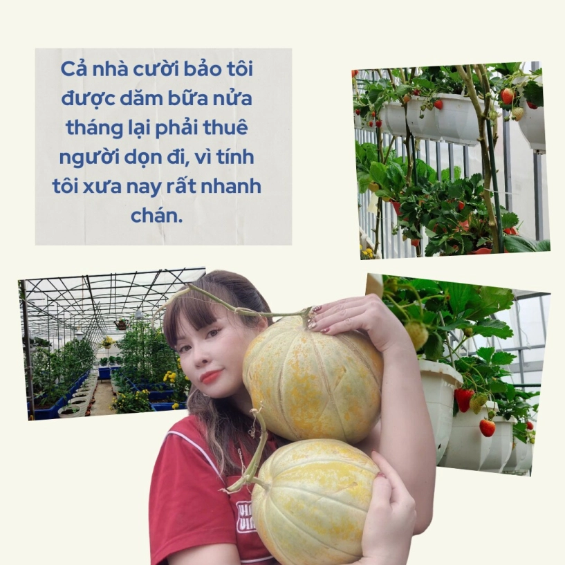 Mẹ đảm hà nội từng bị trêu chỉ trồng rau được dăm bữa nửa tháng giờ có hẳn 2 khu vườn xanh mướt trên sân thượng - 2