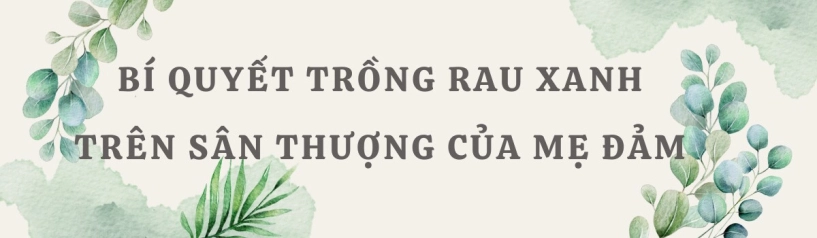 Mẹ đảm hà nội từng bị trêu chỉ trồng rau được dăm bữa nửa tháng giờ có hẳn 2 khu vườn xanh mướt trên sân thượng - 9