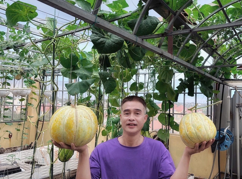 Mẹ đảm hà nội từng bị trêu chỉ trồng rau được dăm bữa nửa tháng giờ có hẳn 2 khu vườn xanh mướt trên sân thượng - 10
