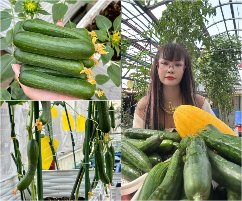 Mẹ đảm hà nội từng bị trêu chỉ trồng rau được dăm bữa nửa tháng giờ có hẳn 2 khu vườn xanh mướt trên sân thượng - 13