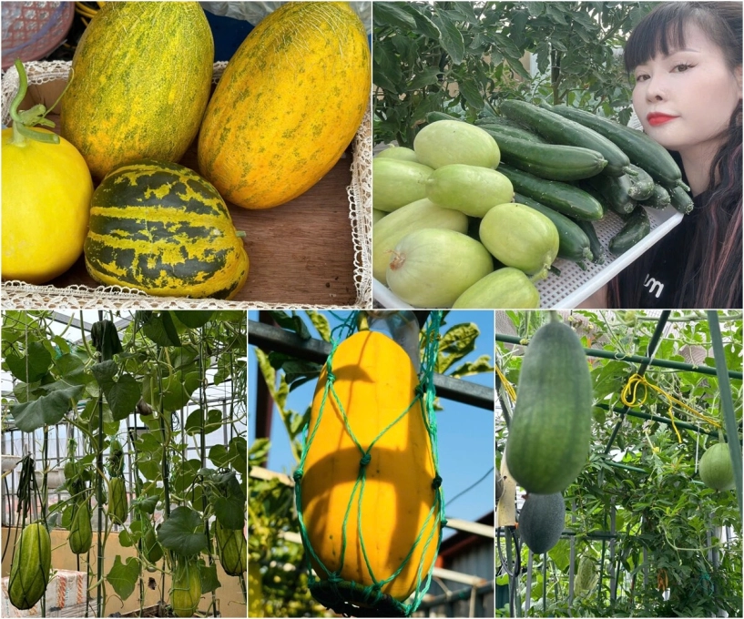 Mẹ đảm hà nội từng bị trêu chỉ trồng rau được dăm bữa nửa tháng giờ có hẳn 2 khu vườn xanh mướt trên sân thượng - 14