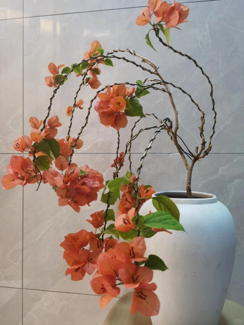 Mẹ đảm phủ hoa giấy từ trong nhà ra ban công hoa nở rộ quanh năm đẹp như xứ sở thần tiên - 11