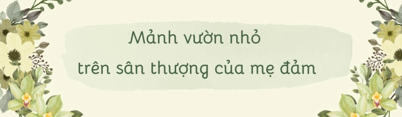 Mẹ đảm phú thọ trồng rau trên sân thượng vì con bị ngộ độc giờ rau sạch ăn quanh năm hái mỏi tay không hết - 2