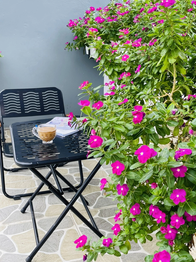 Mẹ đảm phú thọ trồng rau trên sân thượng vì con bị ngộ độc giờ rau sạch ăn quanh năm hái mỏi tay không hết - 5
