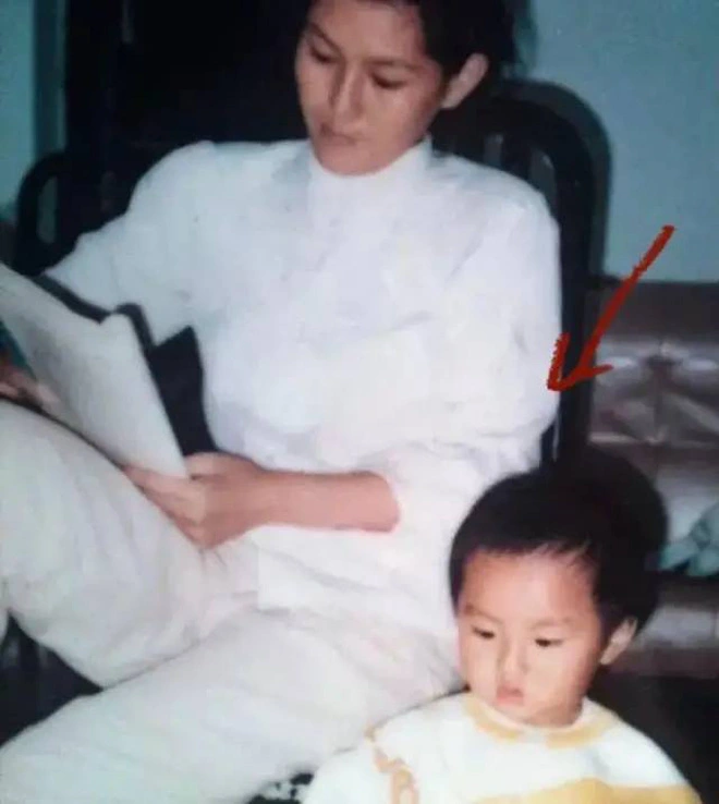 Mẹ đơn thân nuôi con thành sao hạng a kiếm 320 tỷ trong 20 ngày và cái kết bi thảm cho cả mẹ lẫn con - 2