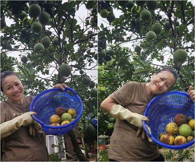 mẹ phương oanh - hương vị tình thân đời thực có khu vườn xanh mướt khoe từng cọng rau giản dị - 2