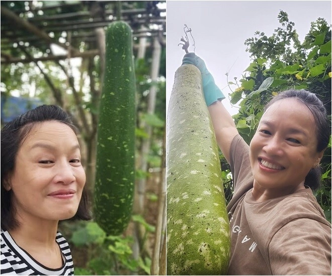mẹ phương oanh - hương vị tình thân đời thực có khu vườn xanh mướt khoe từng cọng rau giản dị - 3