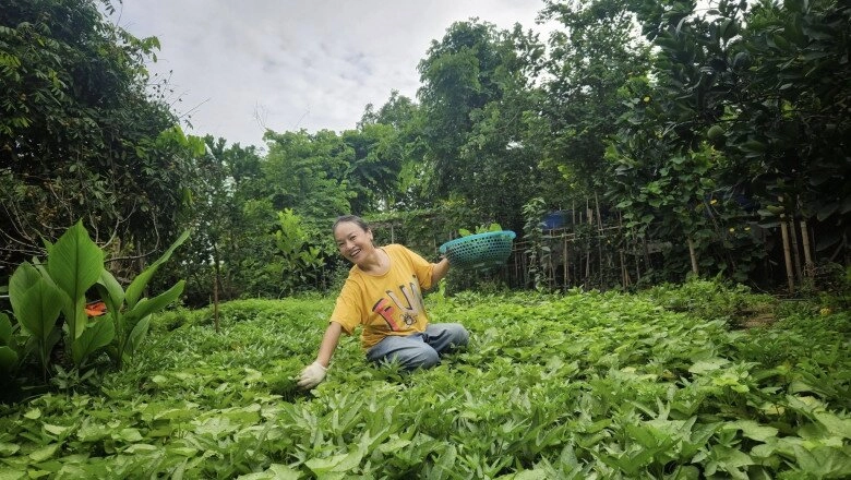 mẹ phương oanh - hương vị tình thân đời thực có khu vườn xanh mướt khoe từng cọng rau giản dị - 5