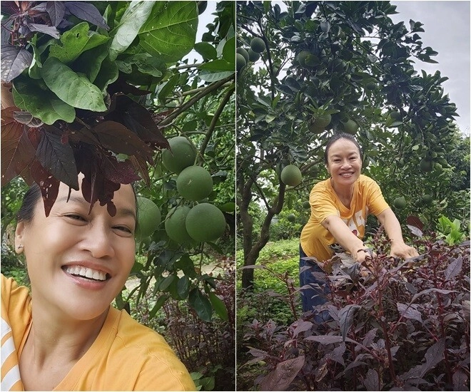 mẹ phương oanh - hương vị tình thân đời thực có khu vườn xanh mướt khoe từng cọng rau giản dị - 6