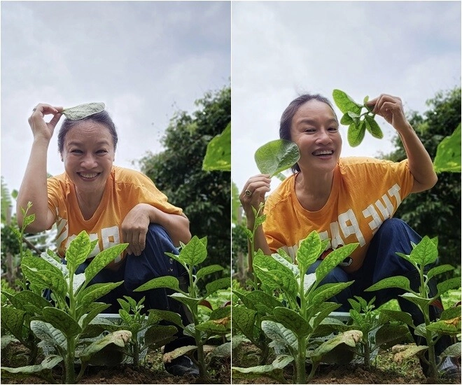 mẹ phương oanh - hương vị tình thân đời thực có khu vườn xanh mướt khoe từng cọng rau giản dị - 8