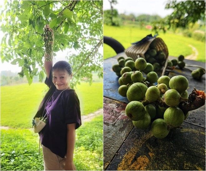 mẹ phương oanh - hương vị tình thân đời thực có khu vườn xanh mướt khoe từng cọng rau giản dị - 9