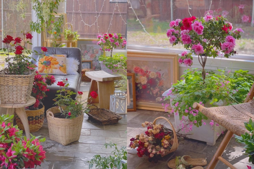 Mẹ việt sống ở mỹ xây căn nhà kính phủ đầy sắc hoa phong cách vintage chữa lành đẹp đến nao lòng - 4