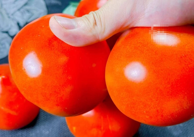 Mua cà chua nên chọn đầu tròn hay đầu nhọn người trồng mách có sự khác biệt lớn đừng chọn nhầm kẻo lãng phí - 3