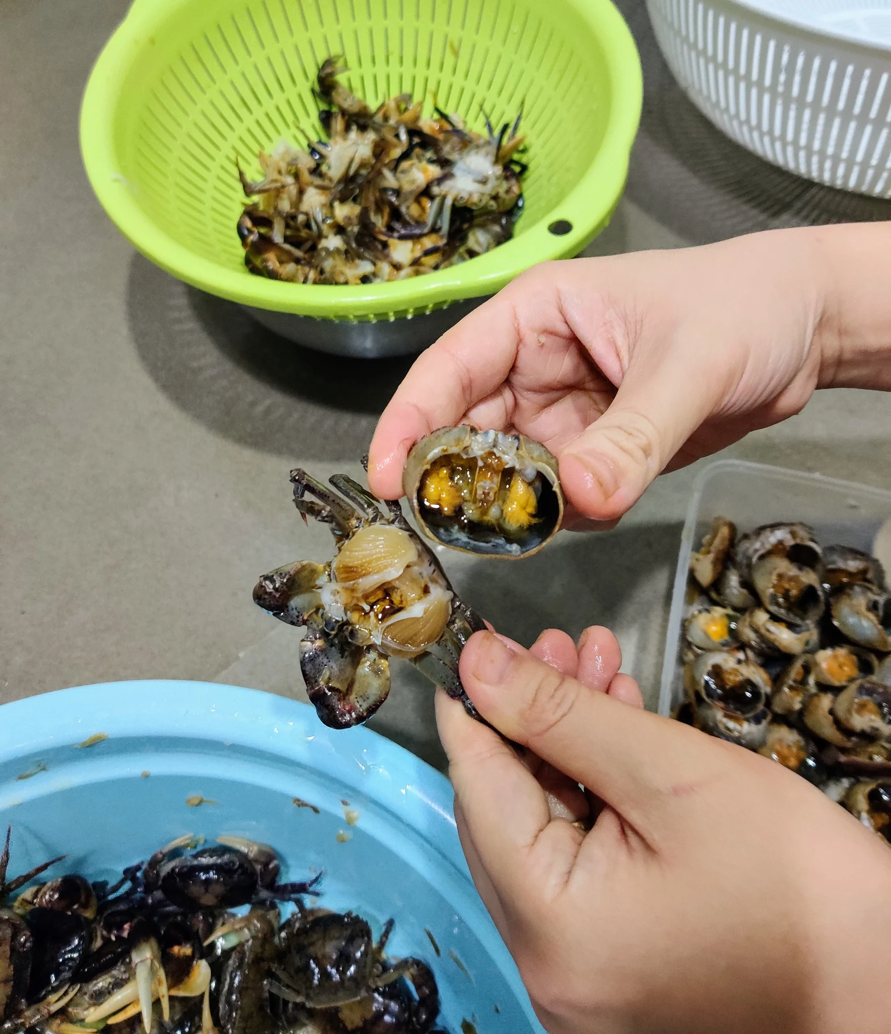 Mua cua đồng về chớ dại nấu luôn ngâm ngay vào thứ nước này giun sán trong cua phải bò ra hết mới yên tâm - 2