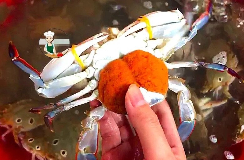Mua cua ghẹ đừng chỉ chọn con to muốn biết cua nhiều thịt không hãy nhìn 4 điểm này đảm bảo chọn con nào chuẩn con đó - 4