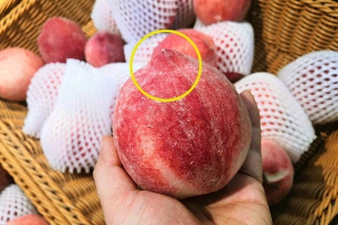 Mua đào người bán hé lộ cứ thấy chỗ này nhọn lên là ngon ngọt giờ tôi đã hiểu vì sao - 1