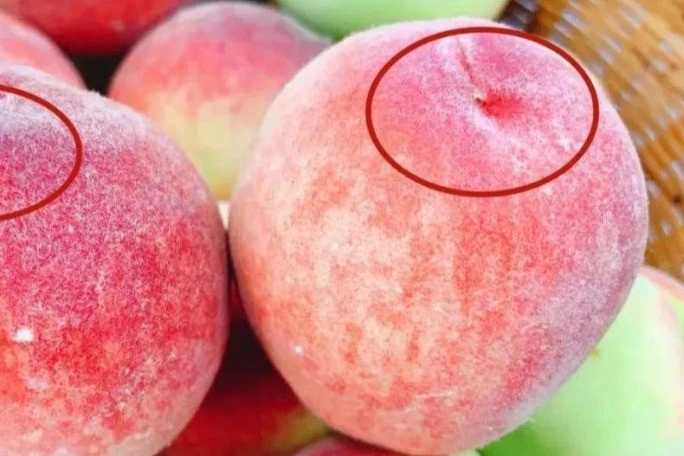 Mua đào người bán hé lộ cứ thấy chỗ này nhọn lên là ngon ngọt giờ tôi đã hiểu vì sao - 2