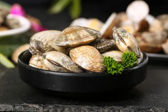 Mua ngao về nhiều cát ngư dân kinh nghiệm 10 năm mách mẹo này 5 phút là ngao sạch sẽ chẳng cần cầu kỳ - 2