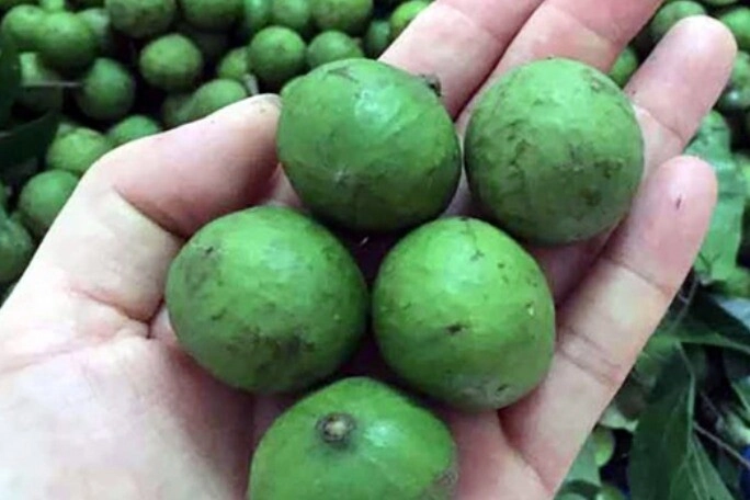 Mua sấu thấy vỏ có dấu hiện này mua ngay đích thị là quả dày thịt hạt nhỏ đem ngâm nước cực ngon - 2