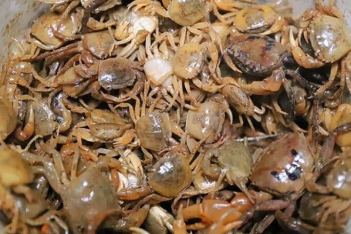 Nấu canh cua người thông minh sẽ cho thêm thìa gia vị này thịt cua đóng thành tảng đẹp mắt biết lý do tôi liền học theo - 1