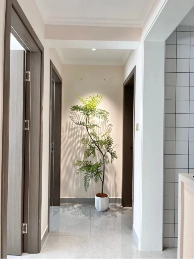 Nếu bạn đang để cây ở góc này trong nhà hãy đổi chỗ ngay kẻo hối hận không kịp - 3
