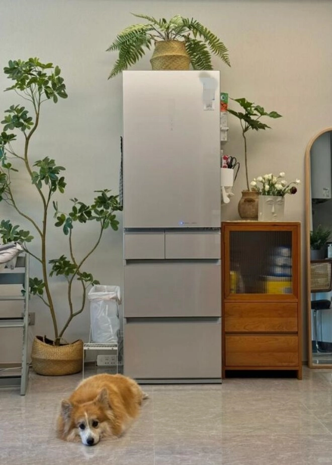 Nếu bạn đang để cây ở góc này trong nhà hãy đổi chỗ ngay kẻo hối hận không kịp - 5