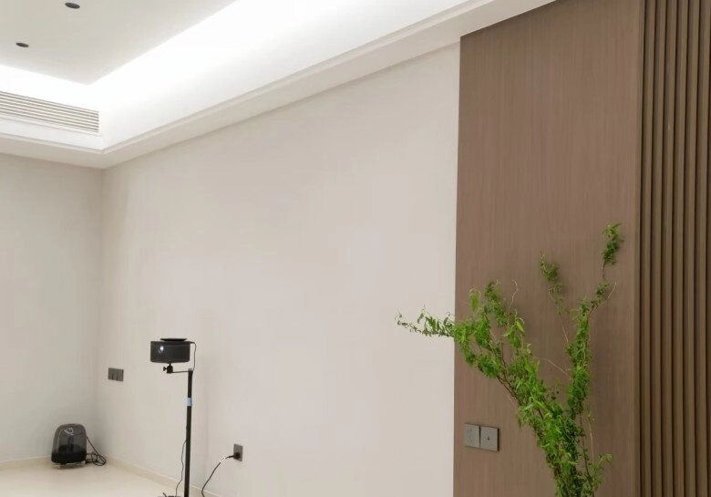 Ngày càng nhiều người không sơn tường bằng sơn latex nữa giải pháp thay thế này khiến nhà cao cấp hơn nhiều - 4