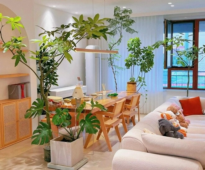 Nhà có 5 loại hoa này con cái luôn có quý nhân giúp đỡ càng trồng gia đình càng vượng phát - 1