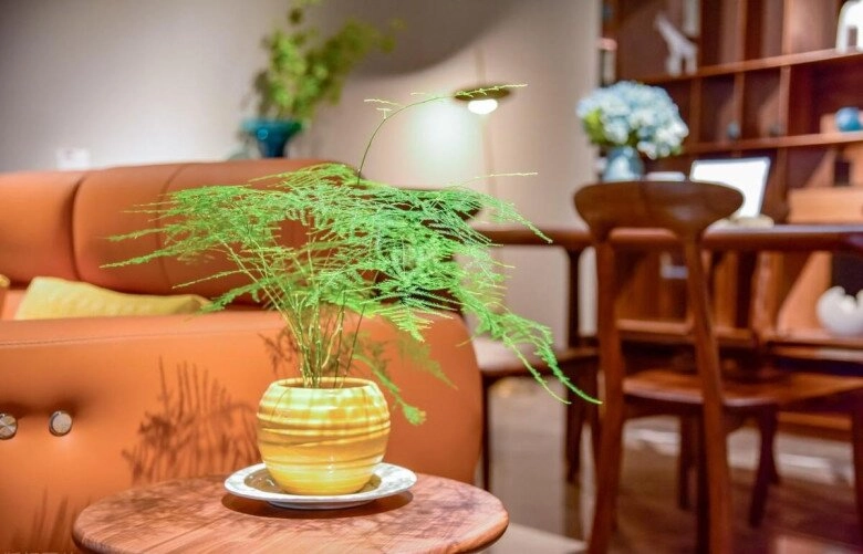 Nhà có 5 loại hoa này con cái luôn có quý nhân giúp đỡ càng trồng gia đình càng vượng phát - 7