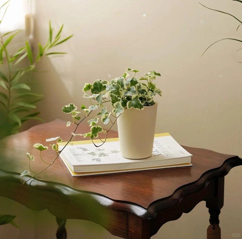 Nhà có 5 loại hoa này con cái luôn có quý nhân giúp đỡ càng trồng gia đình càng vượng phát - 8