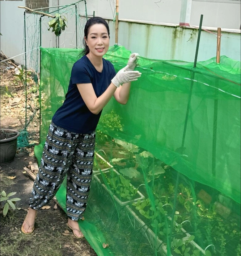 Nsnd trịnh kim chi trồng rau trong vườn biệt thự chục tỷ nhưng gặp thủ phạm phá hoại - 12