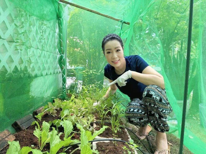 Nsnd trịnh kim chi trồng rau trong vườn biệt thự chục tỷ nhưng gặp thủ phạm phá hoại - 13
