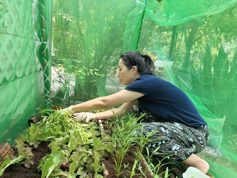 Nsnd trịnh kim chi trồng rau trong vườn biệt thự chục tỷ nhưng gặp thủ phạm phá hoại - 14