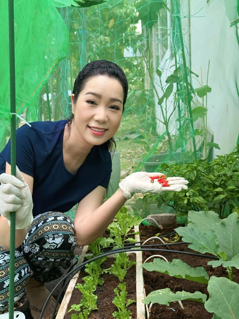 Nsnd trịnh kim chi trồng rau trong vườn biệt thự chục tỷ nhưng gặp thủ phạm phá hoại - 15
