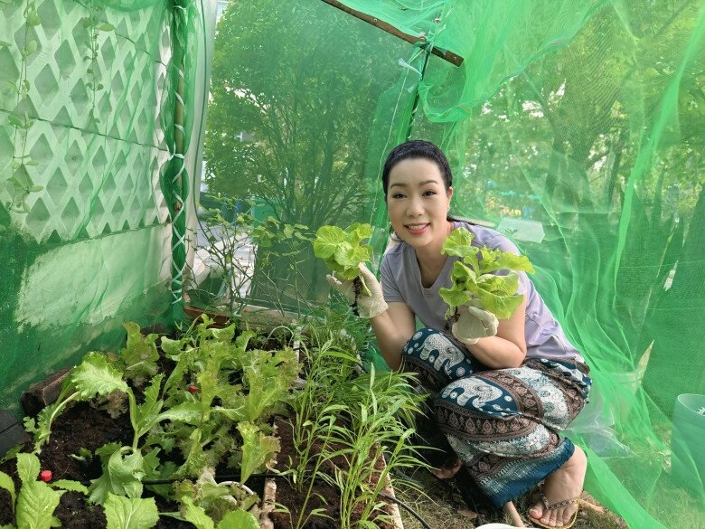 Nsnd trịnh kim chi trồng rau trong vườn biệt thự chục tỷ nhưng gặp thủ phạm phá hoại - 18