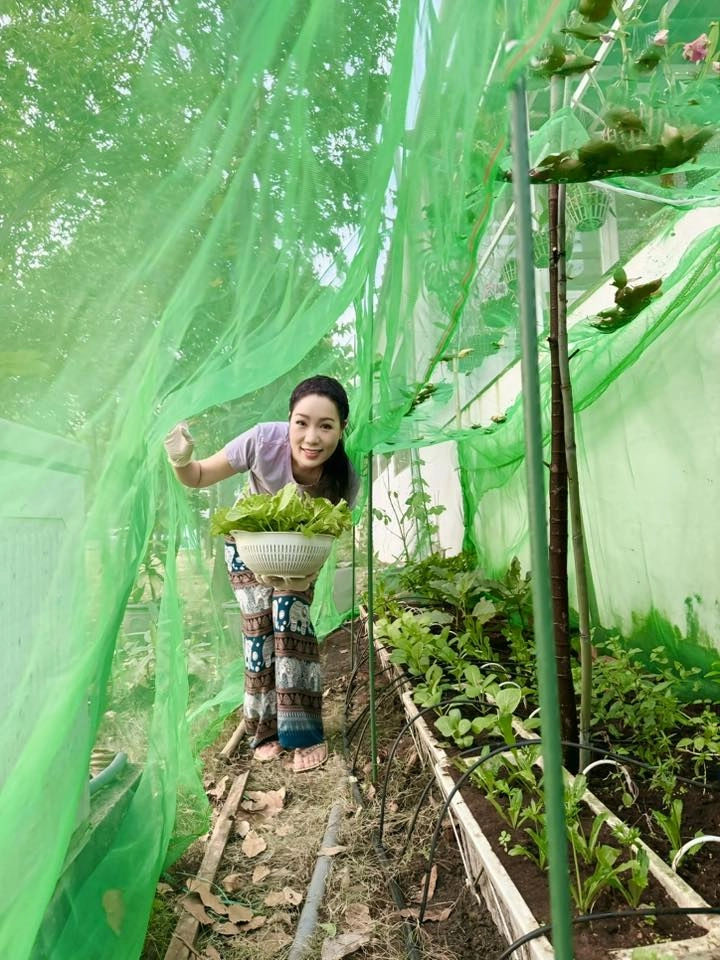 Nsnd trịnh kim chi trồng rau trong vườn biệt thự chục tỷ nhưng gặp thủ phạm phá hoại - 19