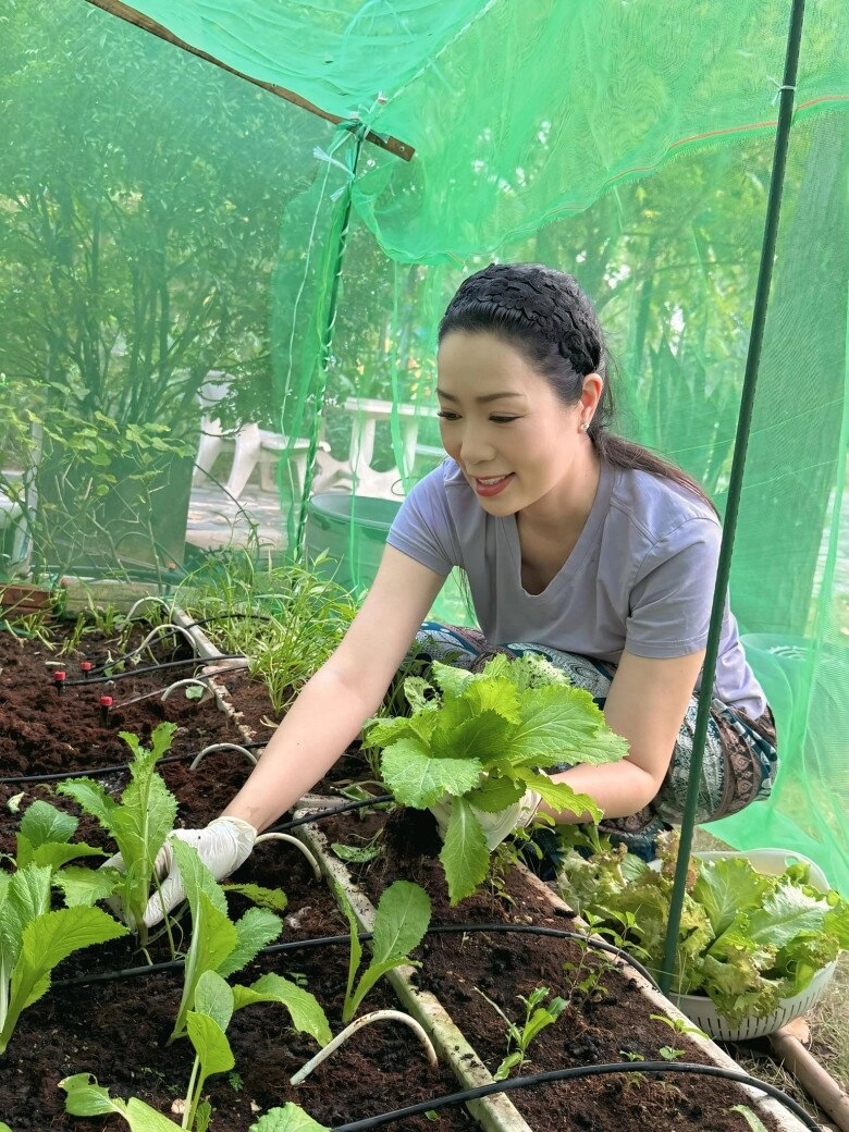 Nsnd trịnh kim chi trồng rau trong vườn biệt thự chục tỷ nhưng gặp thủ phạm phá hoại - 20