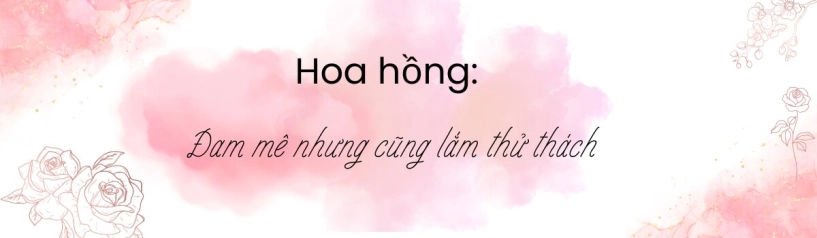 ốc đảo xanh mát ở penthouse tầng 23 của mẹ đảm bình dương hoa hồng tỏa ngát hương vườn rau trái trĩu quả - 11