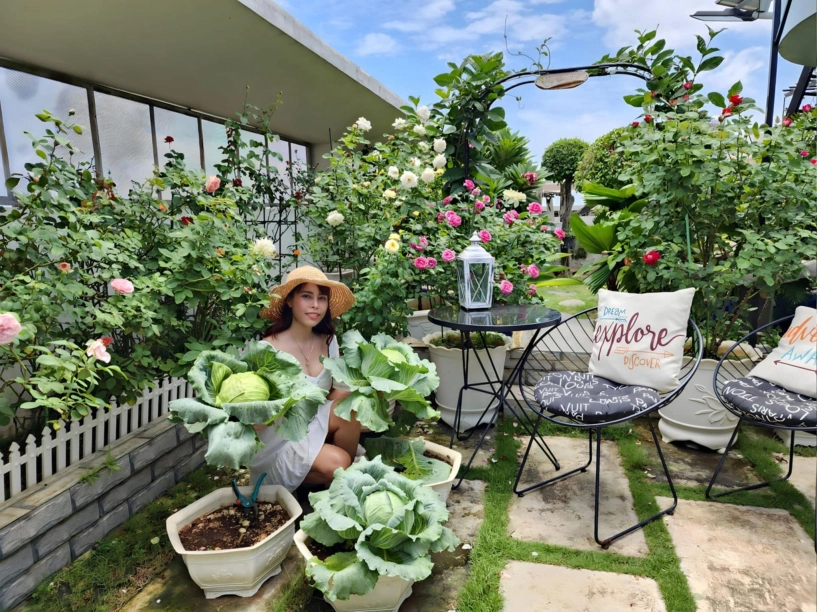 ốc đảo xanh mát ở penthouse tầng 23 của mẹ đảm bình dương hoa hồng tỏa ngát hương vườn rau trái trĩu quả - 23