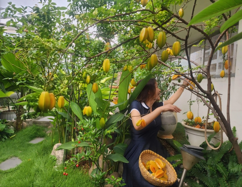ốc đảo xanh mát ở penthouse tầng 23 của mẹ đảm bình dương hoa hồng tỏa ngát hương vườn rau trái trĩu quả - 26