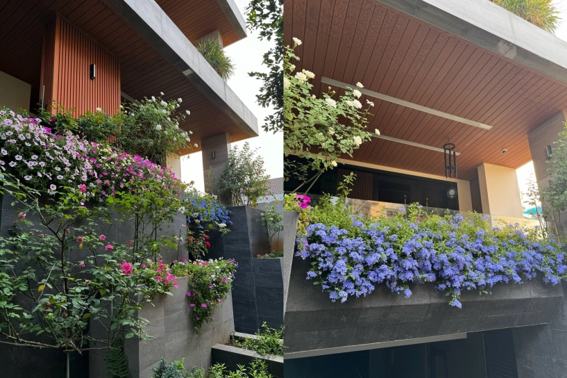 Ông bố 3 con chi 80 triệu xây khu vườn đẹp mướt mắt trên sân thượng 90m2 mà loại rau quả nào cũng có - 4